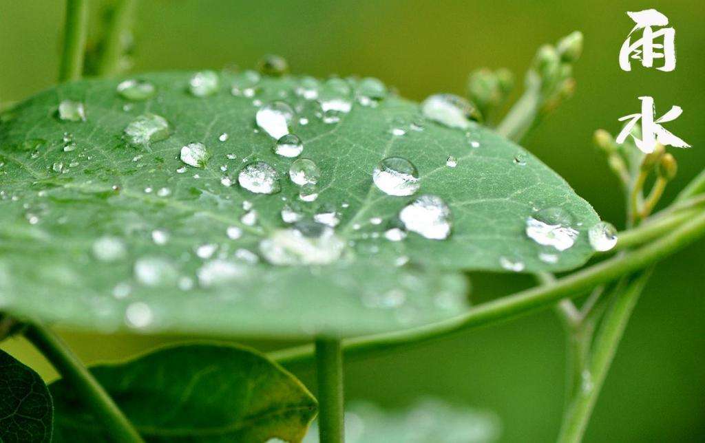雨水！